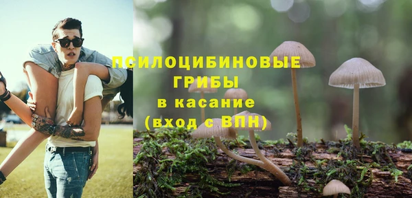 дурь Майский
