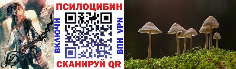 Псилоцибиновые грибы Psilocybe Цимлянск
